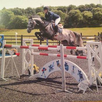 Lucy Palmers Journey to HOYS Qualification